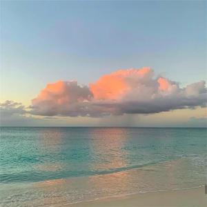 翼舞在线观看免费观看全部节目
